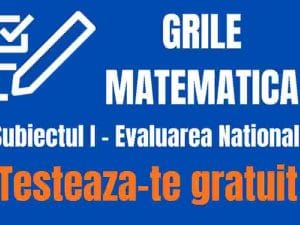 grile matematica(1).jpg