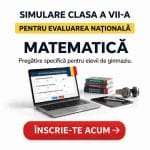 simulare evaluarea națională – matematică (clasa a vii a)